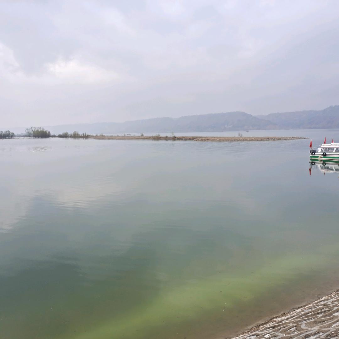 安享健康(淡定)