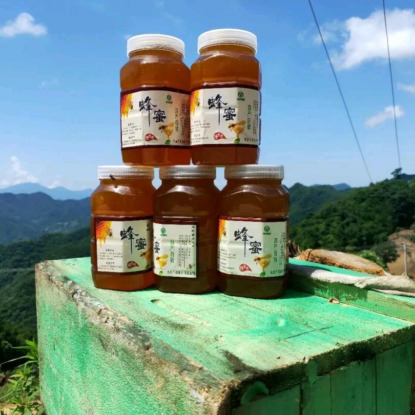 蜂哥，大山养蜜蜂，