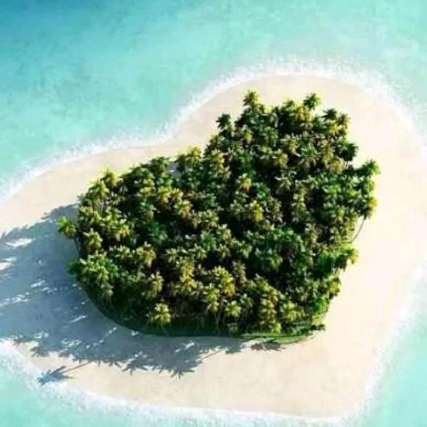 心选小希望生活