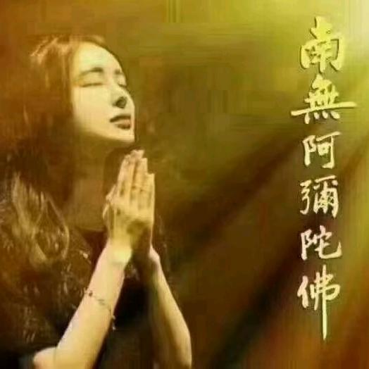 qingshuizhis17
