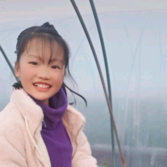 聆灵妖