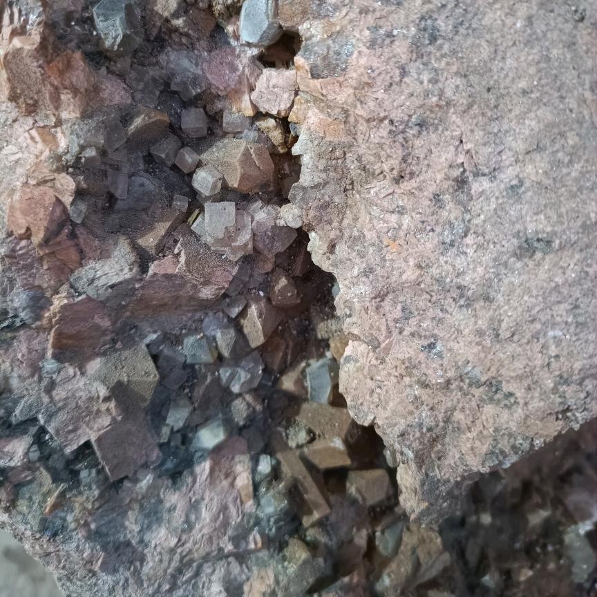 马岭陈金阳