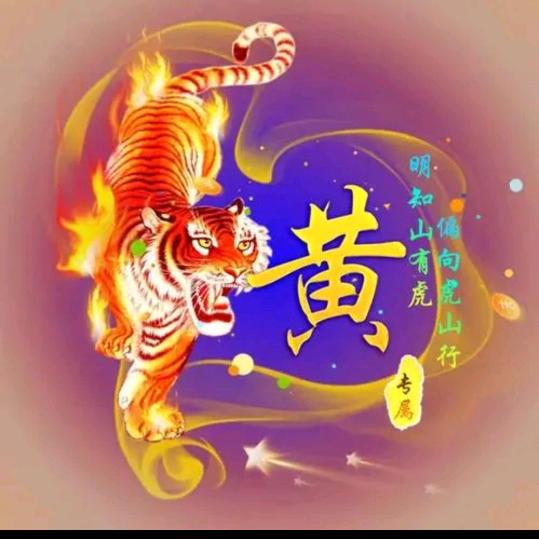 大海哥