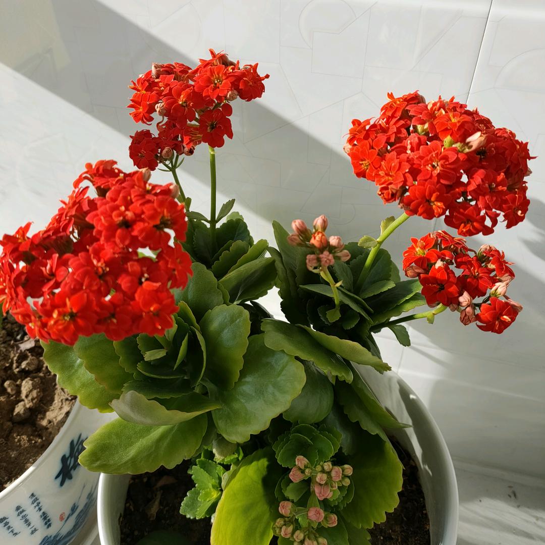 珍惜