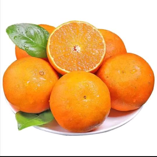 （橘子驾到）涌泉蜜桔