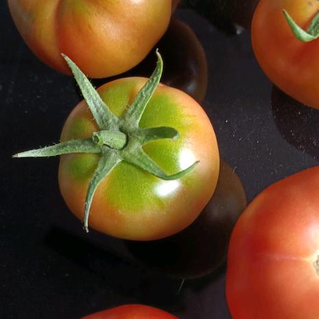 🌈终于轮到我了