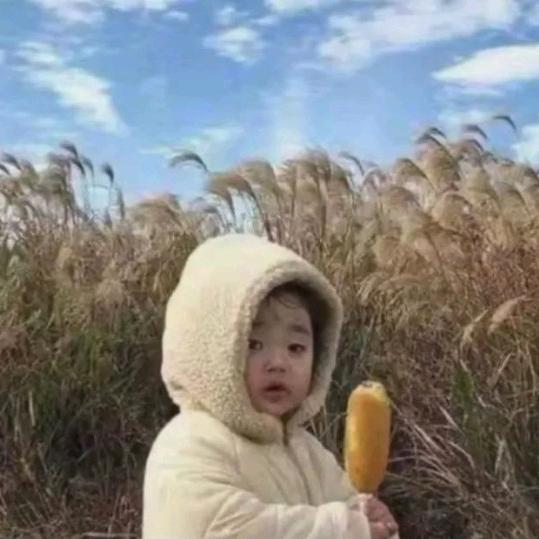 不想洗碗！