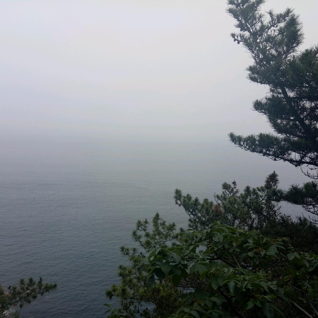 大海