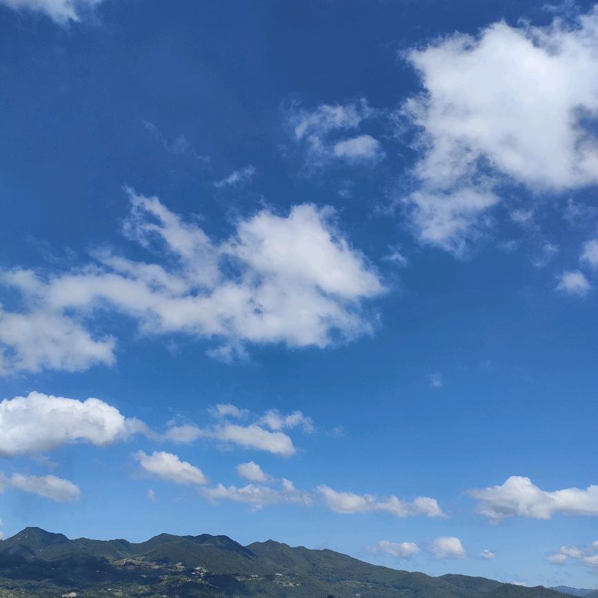 馬到成功