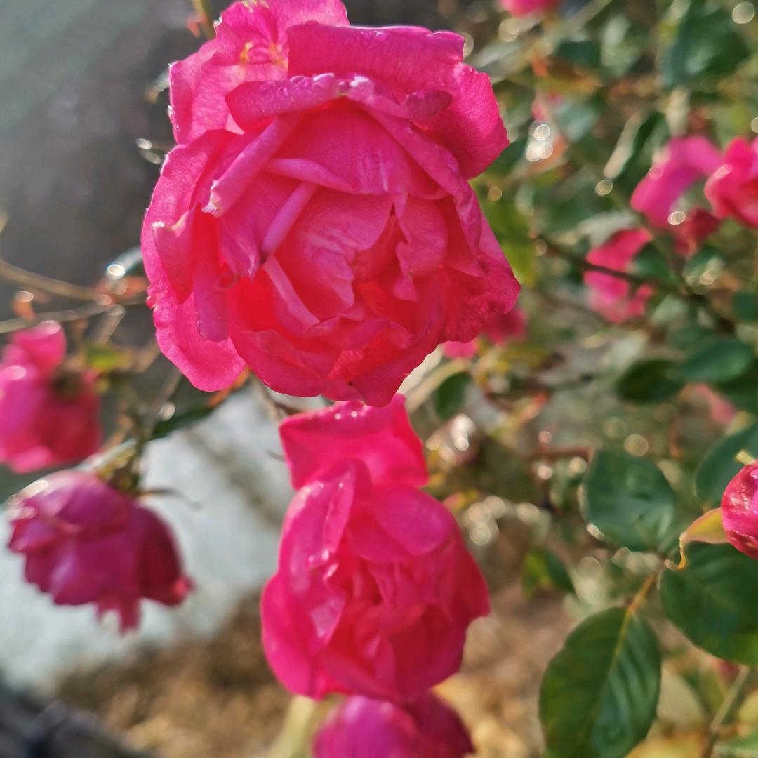 爱笑的我运气不差