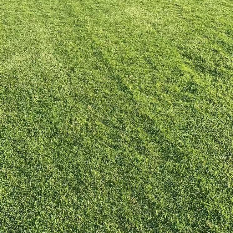 掌心温度