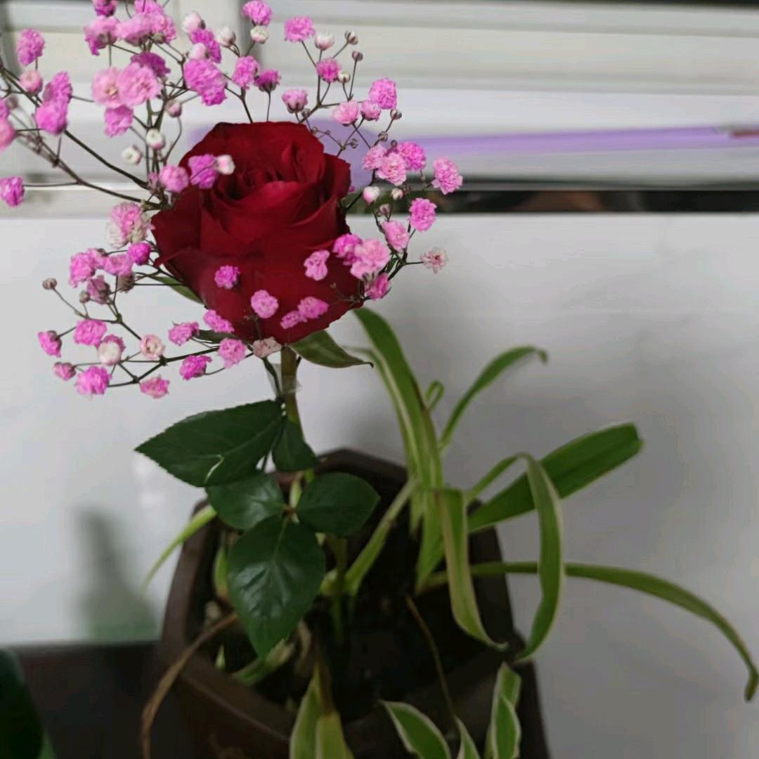 🍎🍎活在当下