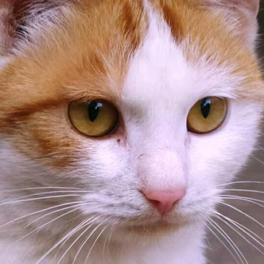 ꧁꫞武💞空体得无李꫞꧂