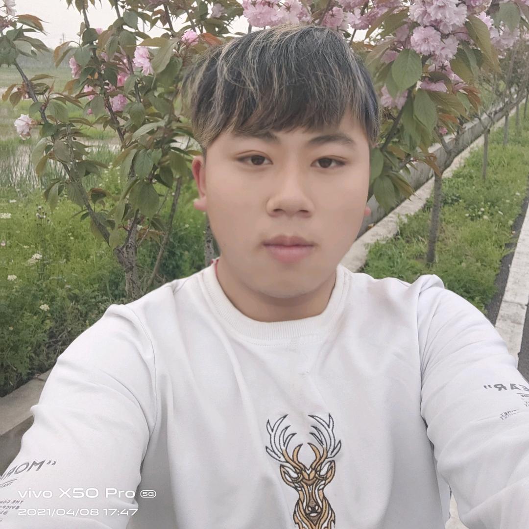 李，宝