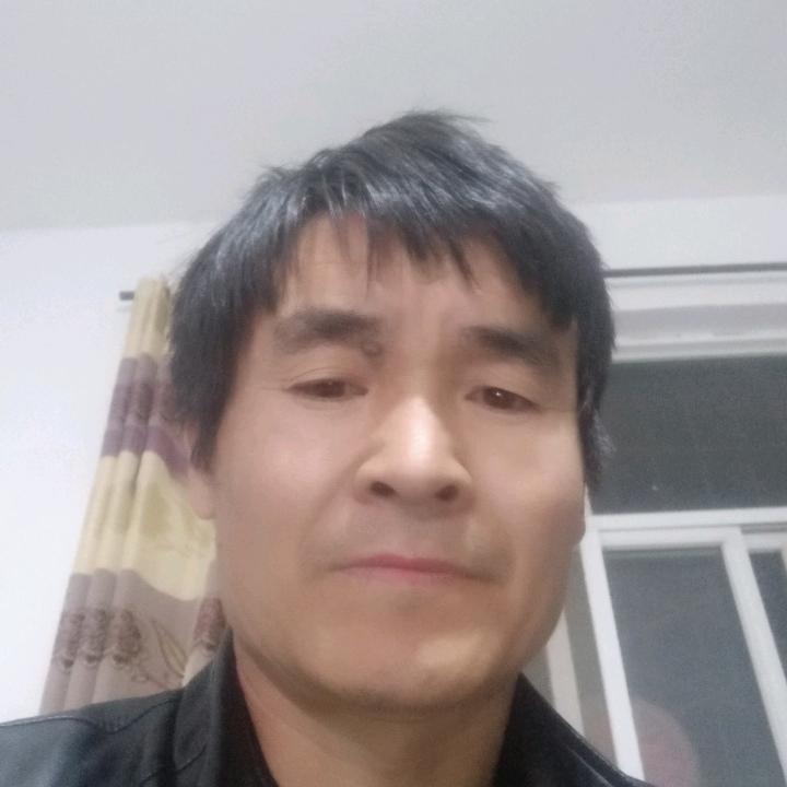 云中燕徐林金