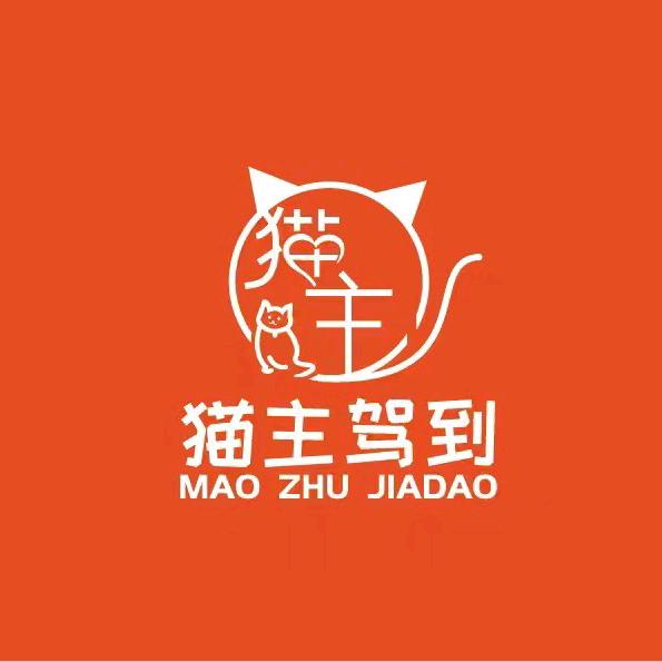 猫主驾到猫舍