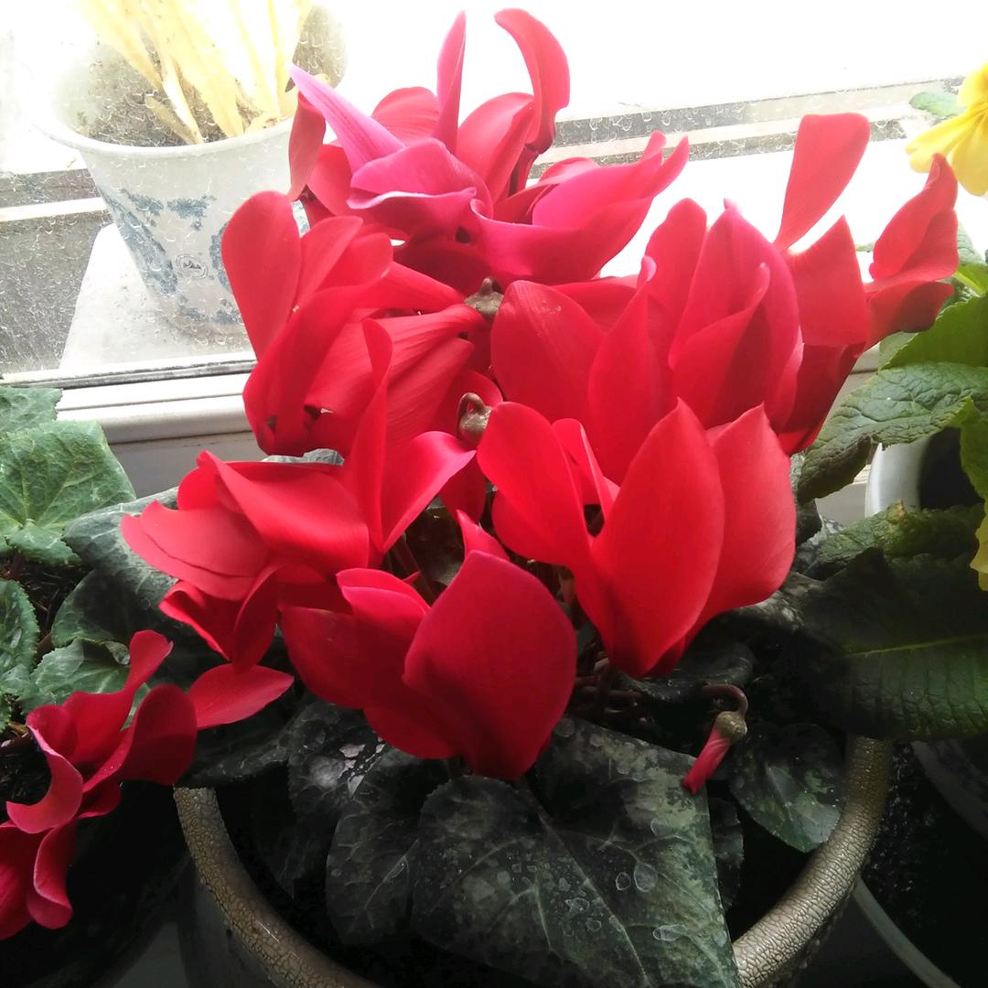 🐱🐱🐱🐱🐱🐱🐱🐱🐱🐱