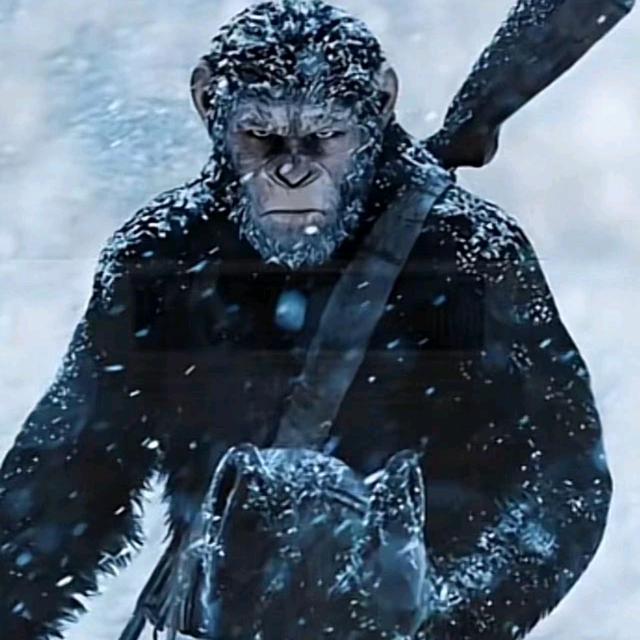 🐖¹⁹⁸³李ꦿ᭄࿐🌻