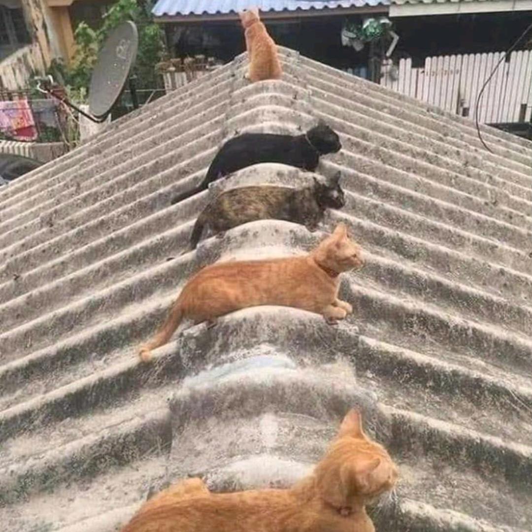 互关(闪电回关)