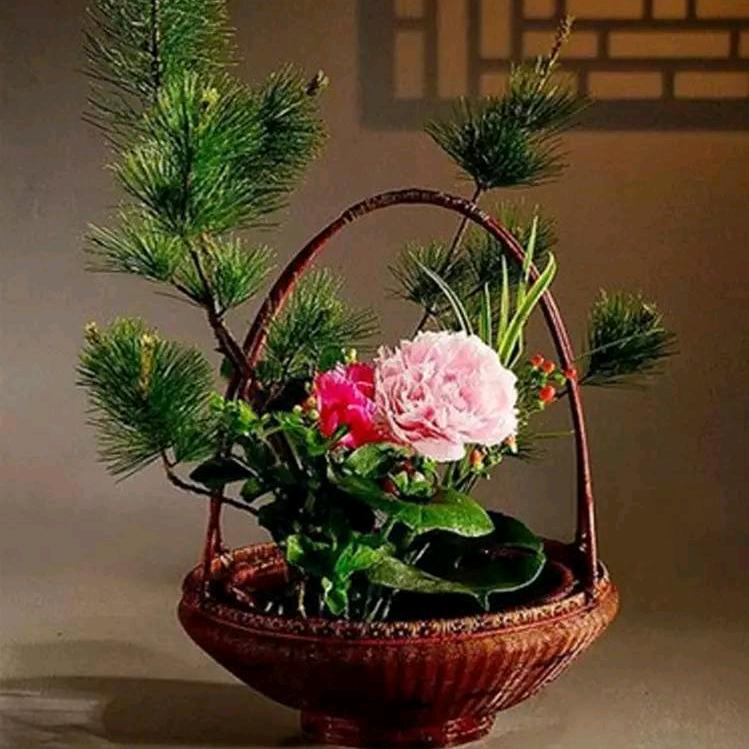 小猴