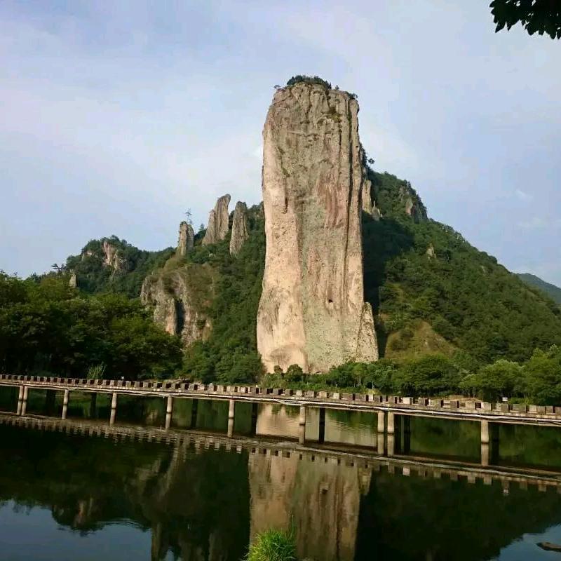 🌻️面朝阳光🍭️