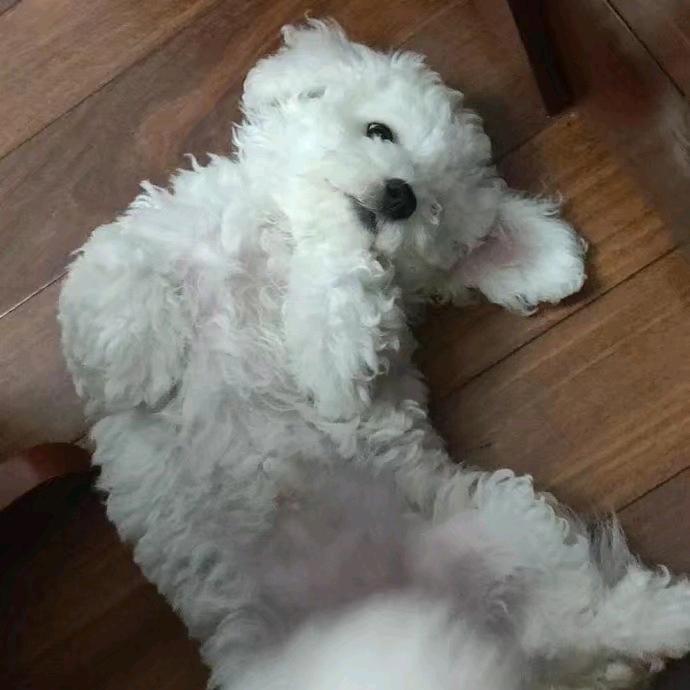 zhaojun 灶台里的一块砖