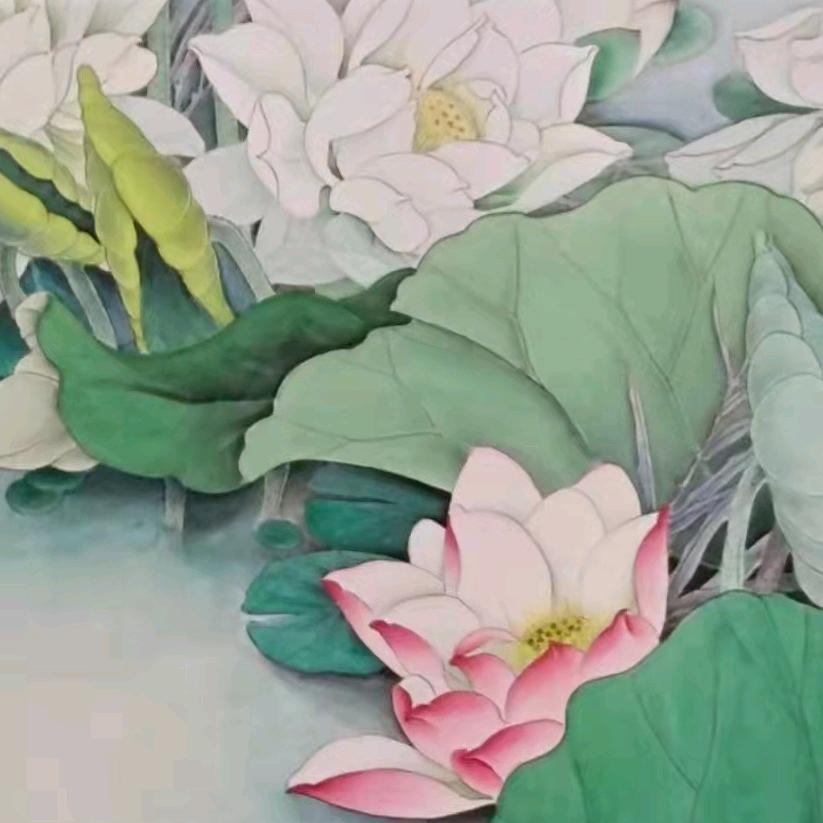 致远🌸