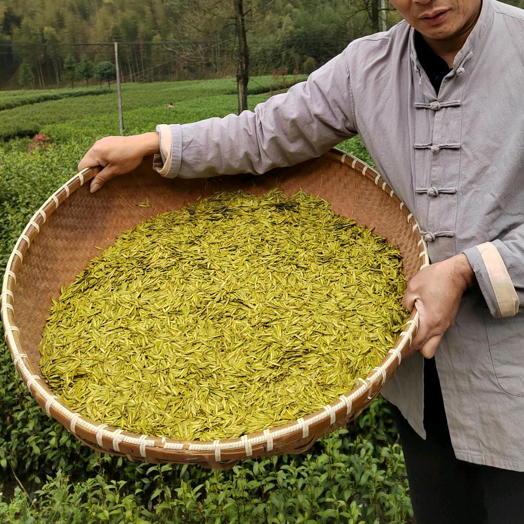 龙游极黄茶业