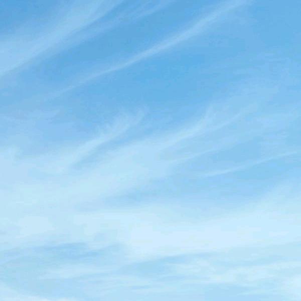 青山