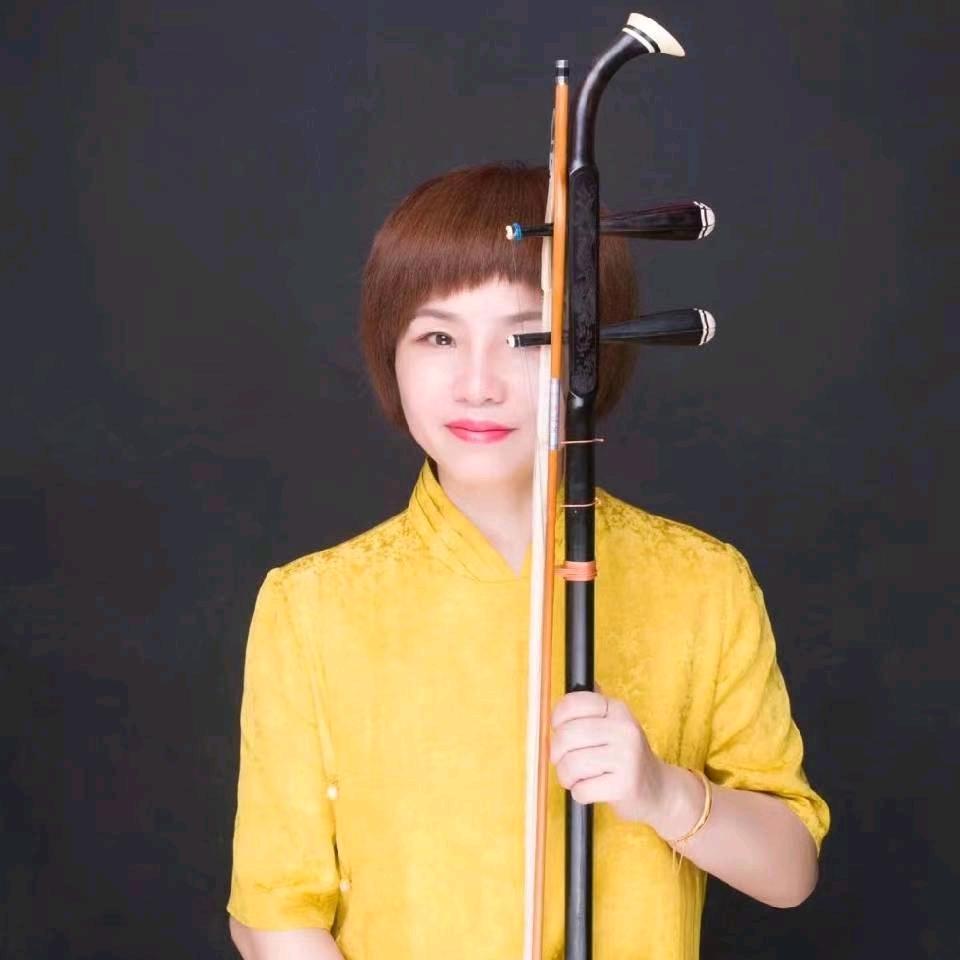 🔥二胡杨丽