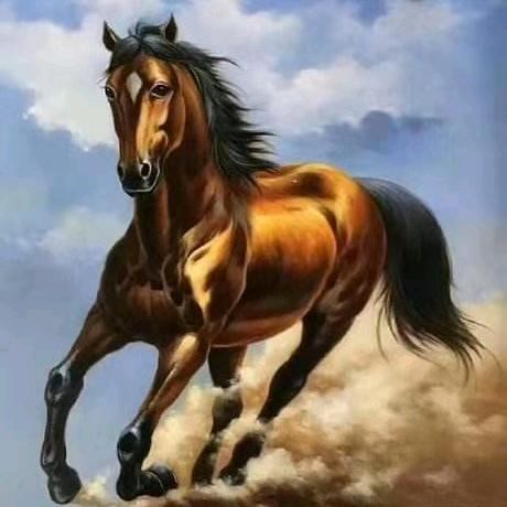 勿忘初心6.8冷藏