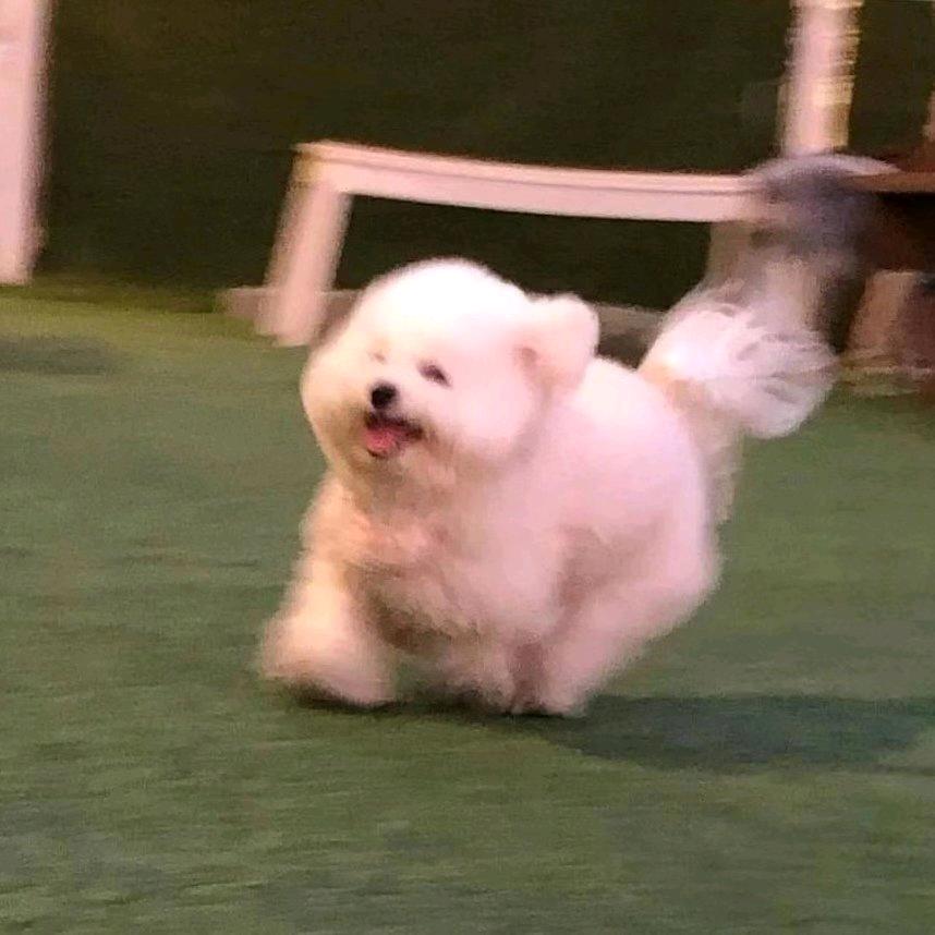 阿锦是橙子