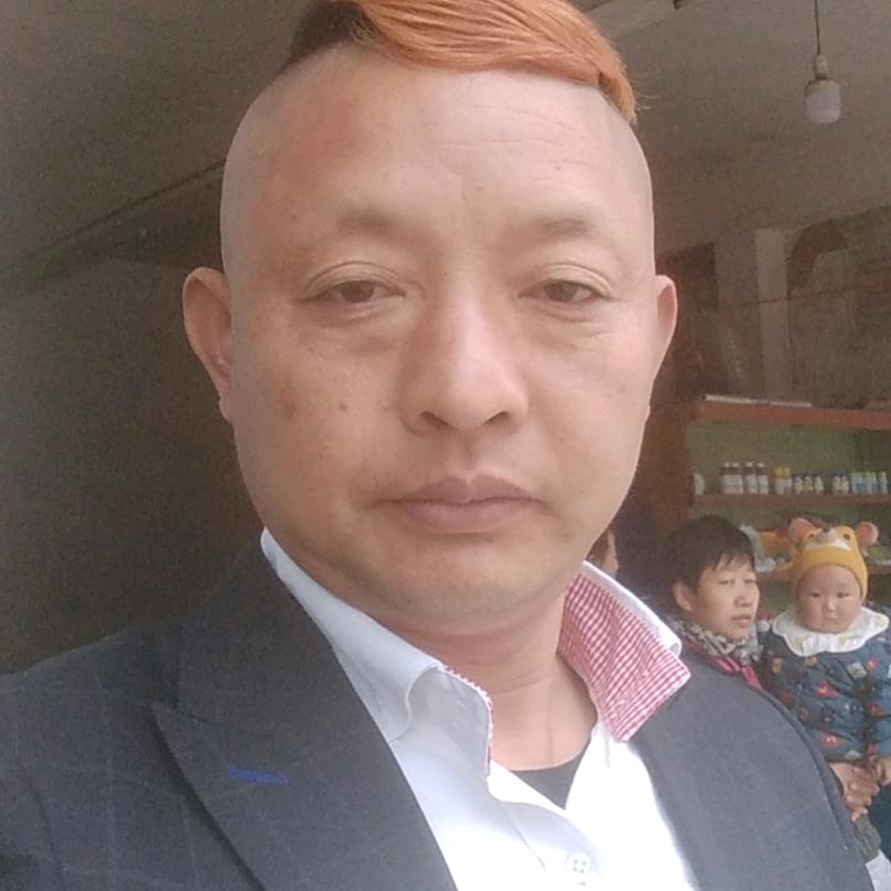 金杰