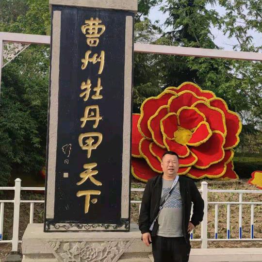 杨金林