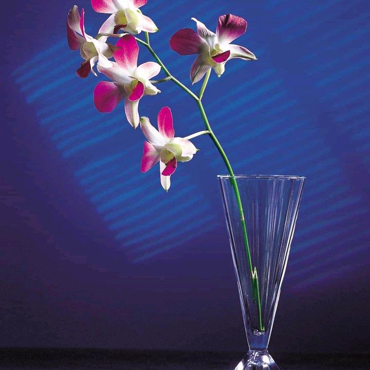 闽江路.八马茶业1499