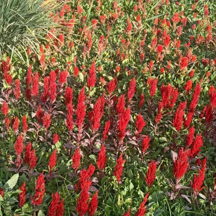 开心快乐一家人