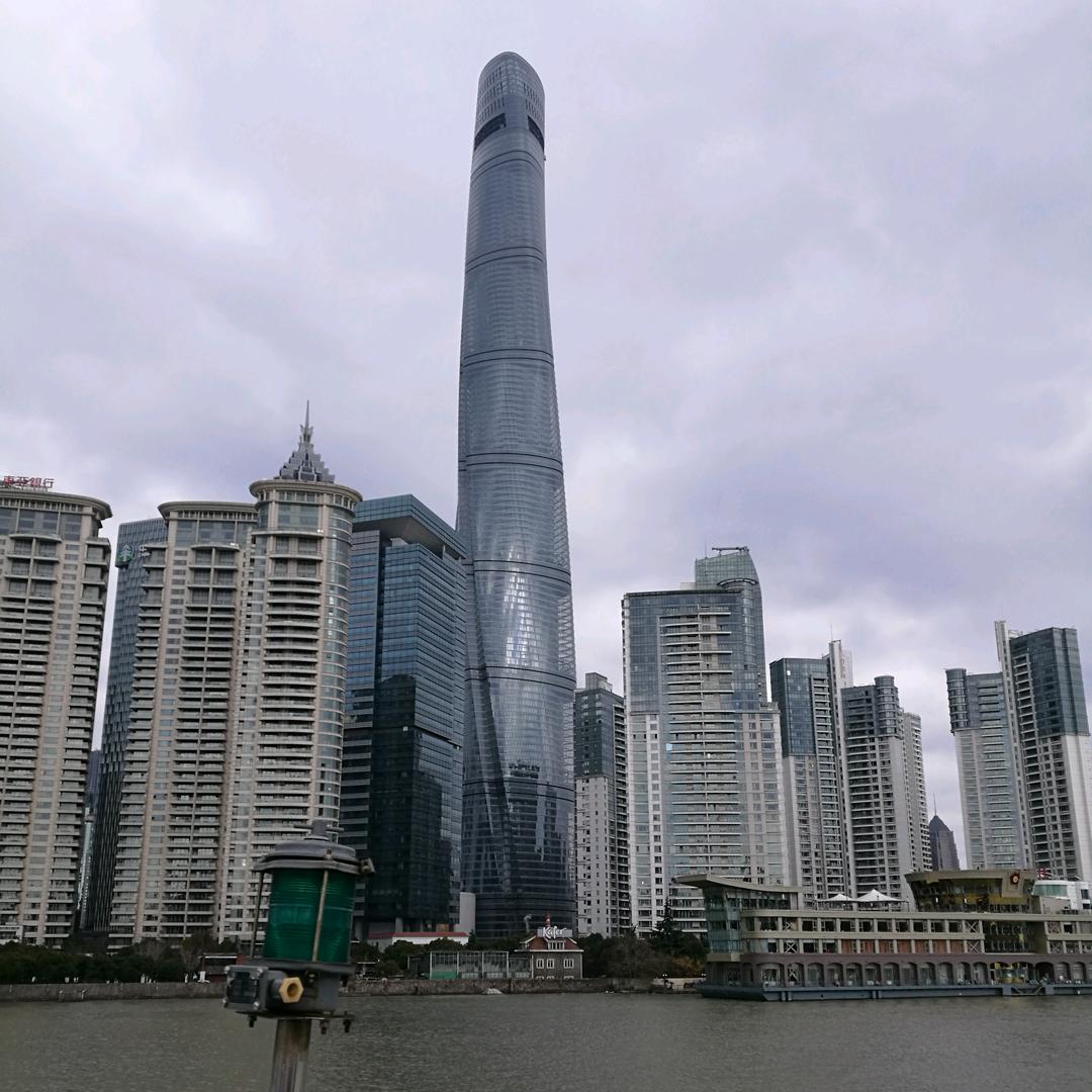 孤傲的狼
