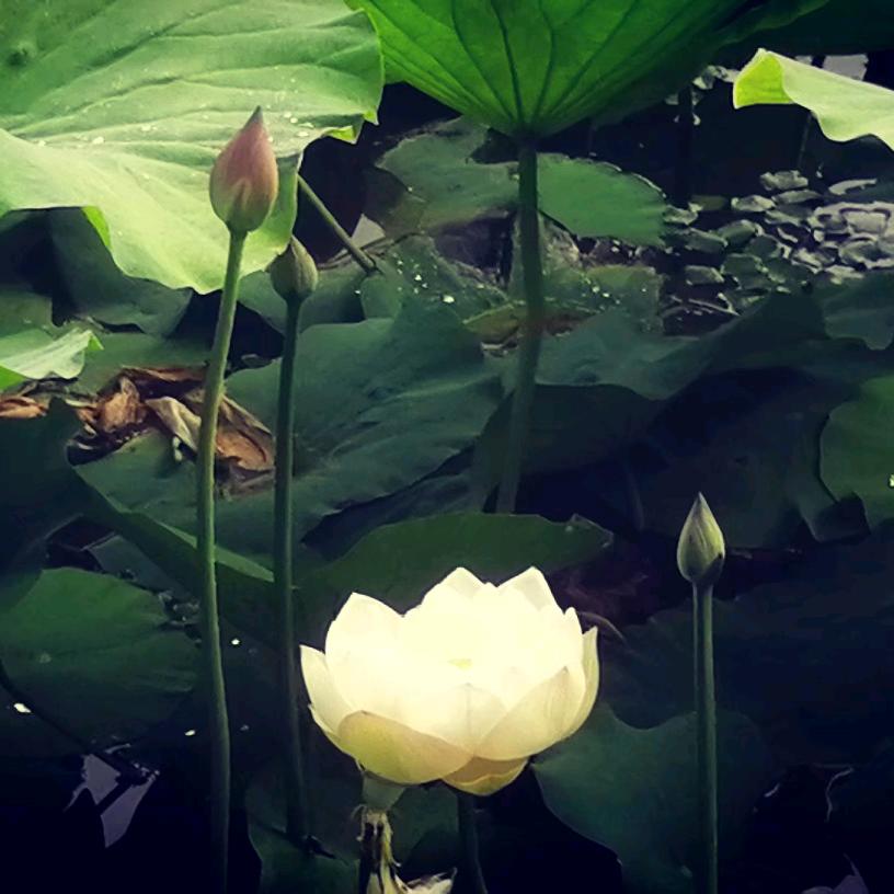 嗯ヽ(○^㉨^)ﾉ♪