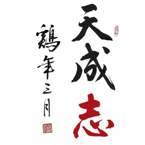 天成志