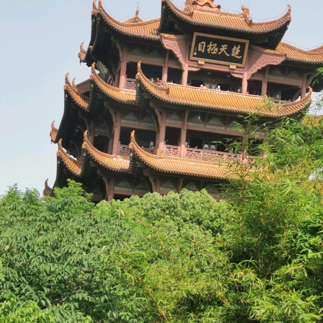 龙腾四海