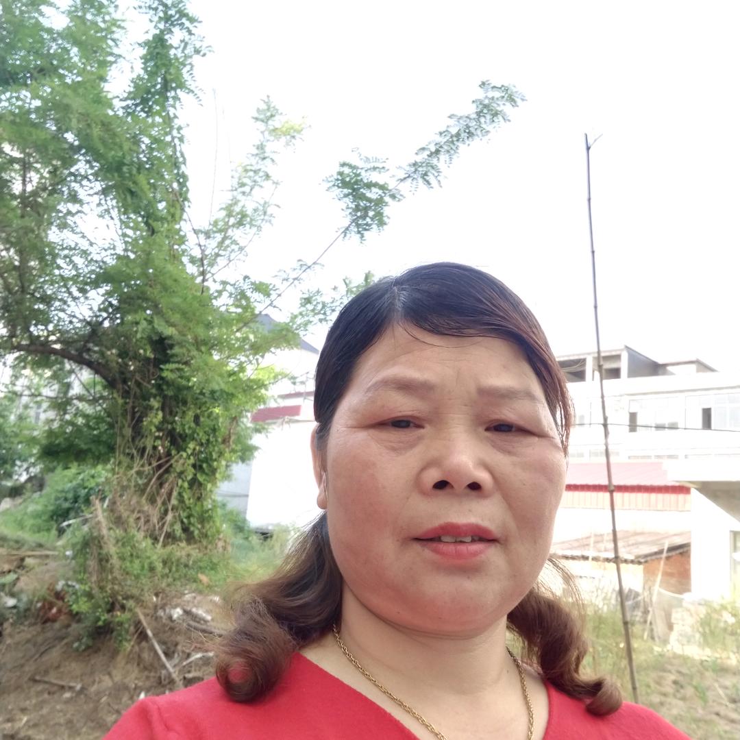 `爱唱歌的奶奶，卖板鸭，地址，商城丰集