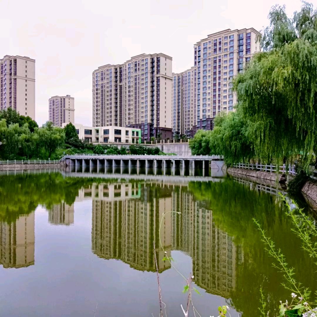 大海