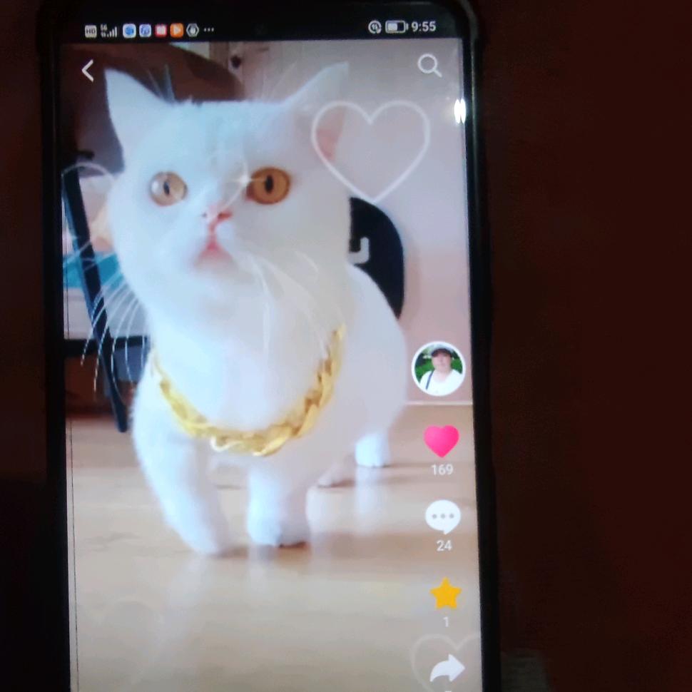 苦中快乐。