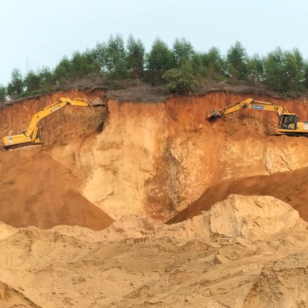 农场鹅语。🇨🇳🦆