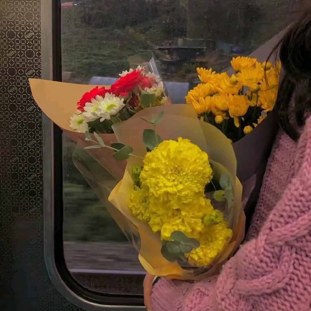 ｛紫萱｝🥰