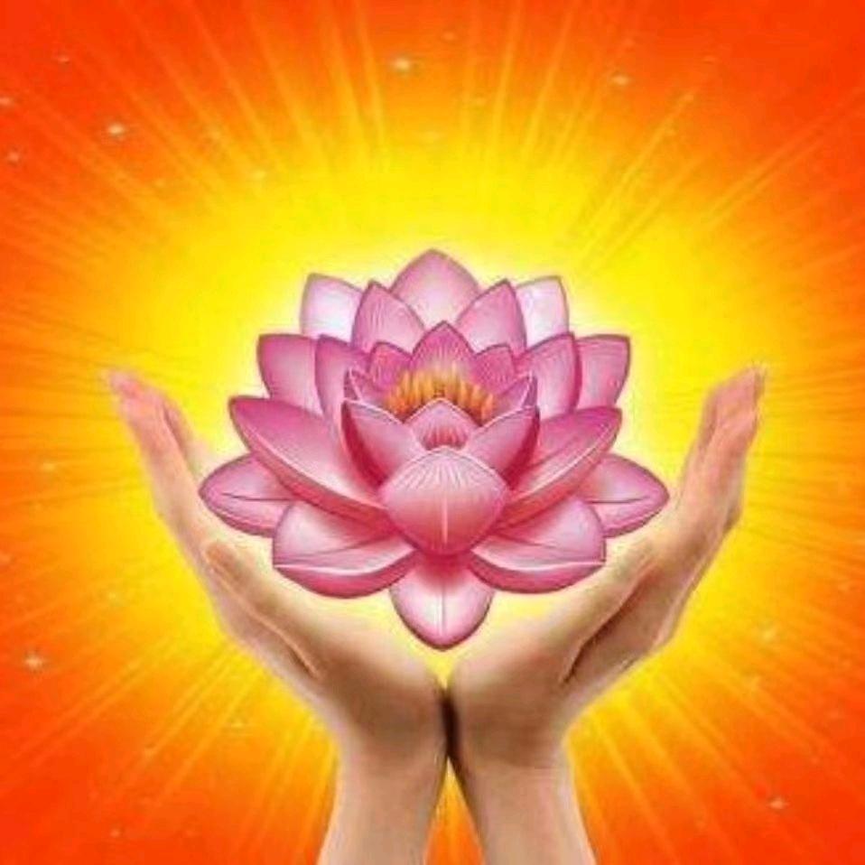 佛缘🍎赵咖啡🍎