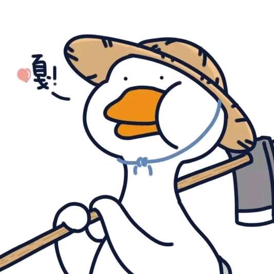 星星坠落人间