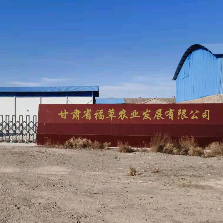 甘草-张阳-福草农业