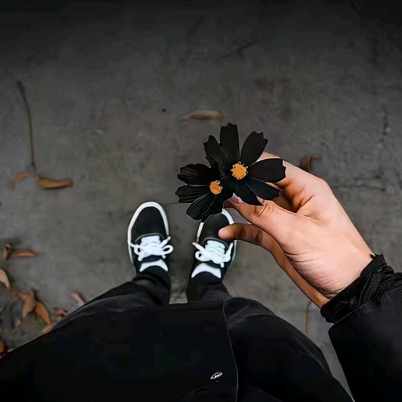 孤芳不自赏🙃