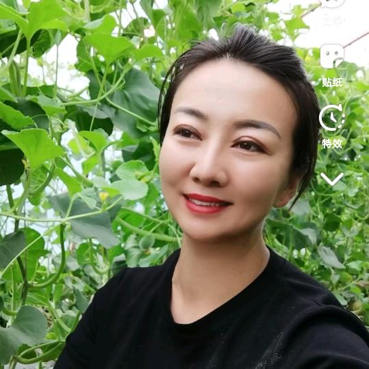 农村淼姐（30号宁夏灵武长枣）